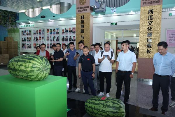 庞各庄镇 2025 年西瓜季政企联动产业推介活动圆满举行瓦力游戏试玩“瓜香引凤聚商机 政企联动促发展”北京大兴(图2)