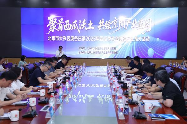 庞各庄镇 2025 年西瓜季政企联动产业推介活动圆满举行瓦力游戏试玩“瓜香引凤聚商机 政企联动促发展”北京大兴(图3)